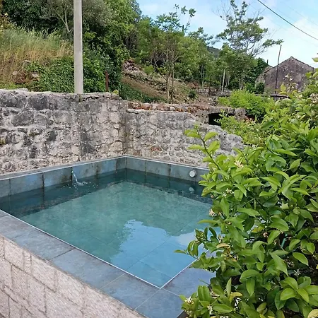 With Swimming Pool Gruda, Dubrovnik - 25021 Daire